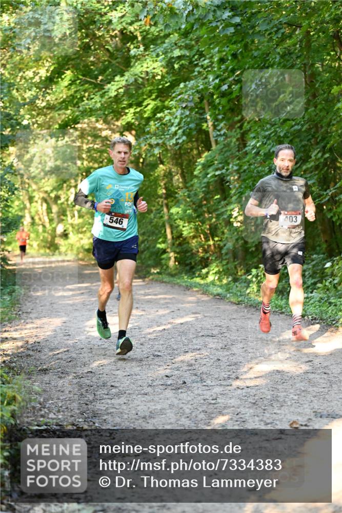 06.10.2024 - Bramfelder Halbmarathon 2024 Dr. Thomas Lammeyer http://msf.ph/oto/7334383 06.10.2024 09:50:12 Laufen 546, 403 meine-sportfotos.de