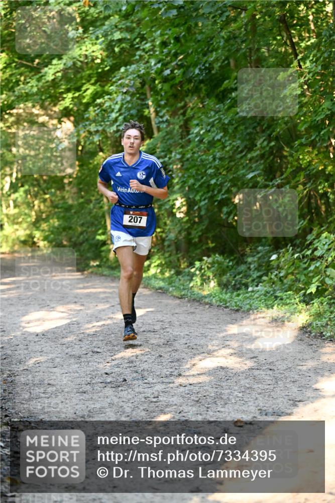 06.10.2024 - Bramfelder Halbmarathon 2024 Dr. Thomas Lammeyer http://msf.ph/oto/7334395 06.10.2024 09:50:14 Laufen 207 meine-sportfotos.de