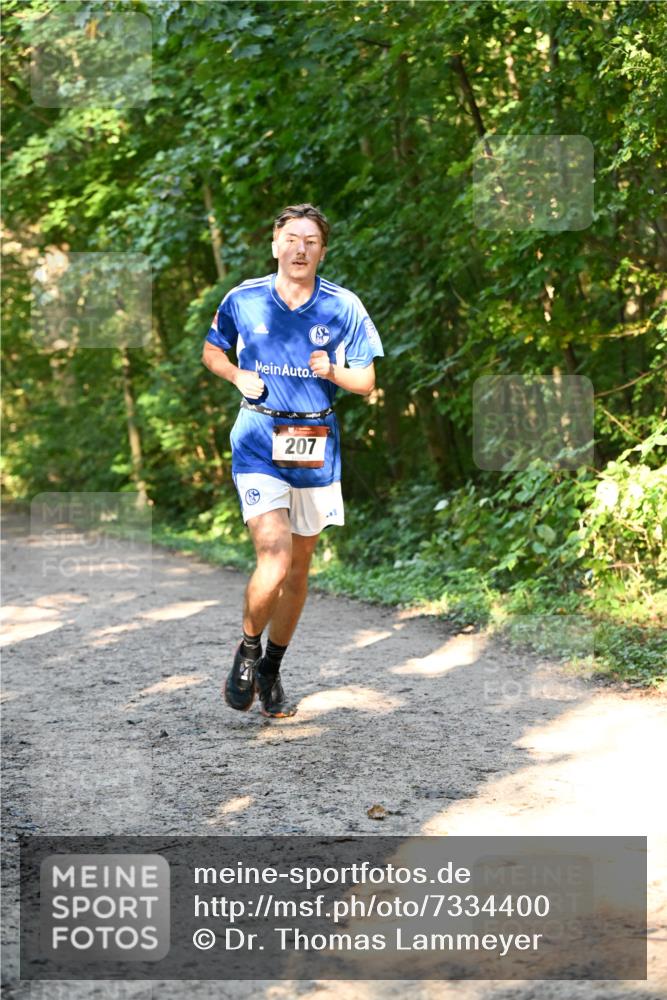 06.10.2024 - Bramfelder Halbmarathon 2024 Dr. Thomas Lammeyer http://msf.ph/oto/7334400 06.10.2024 09:50:15 Laufen 207 meine-sportfotos.de