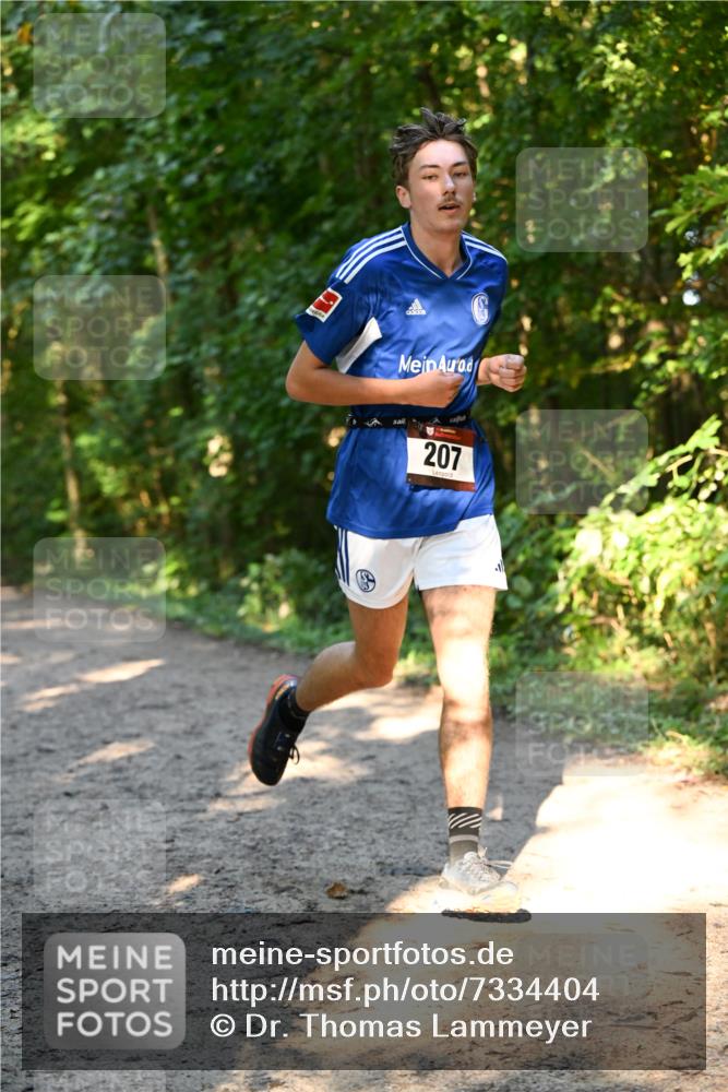 06.10.2024 - Bramfelder Halbmarathon 2024 Dr. Thomas Lammeyer http://msf.ph/oto/7334404 06.10.2024 09:50:15 Laufen 207, 1 meine-sportfotos.de