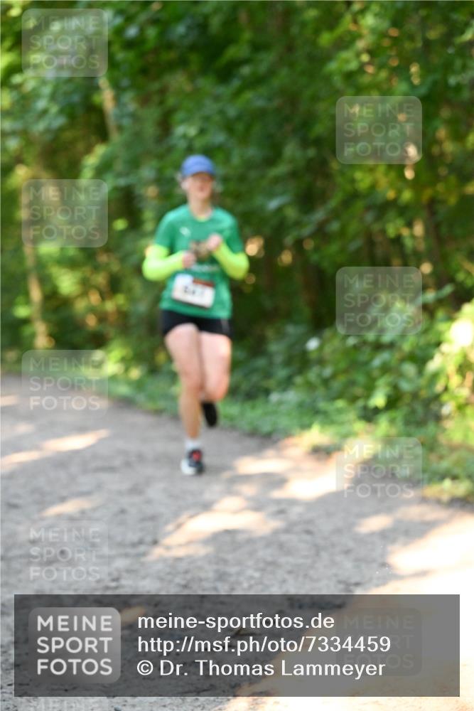 06.10.2024 - Bramfelder Halbmarathon 2024 Dr. Thomas Lammeyer http://msf.ph/oto/7334459 06.10.2024 09:50:34 Laufen  meine-sportfotos.de