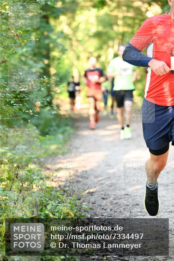 06.10.2024 - Bramfelder Halbmarathon 2024 Dr. Thomas Lammeyer http://msf.ph/oto/7334497 06.10.2024 09:50:47 Laufen  meine-sportfotos.de