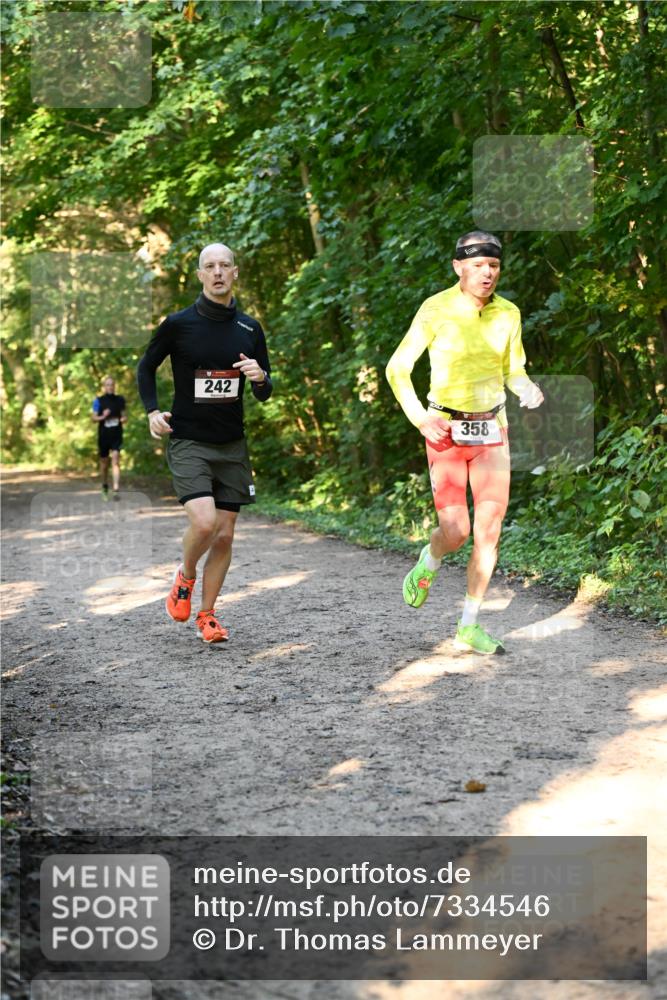 06.10.2024 - Bramfelder Halbmarathon 2024 Dr. Thomas Lammeyer http://msf.ph/oto/7334546 06.10.2024 09:50:56 Laufen 242, 358 meine-sportfotos.de