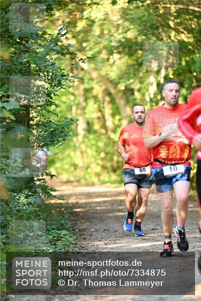 06.10.2024 - Bramfelder Halbmarathon 2024 Dr. Thomas Lammeyer http://msf.ph/oto/7334875 06.10.2024 09:52:57 Laufen 60, 10 meine-sportfotos.de