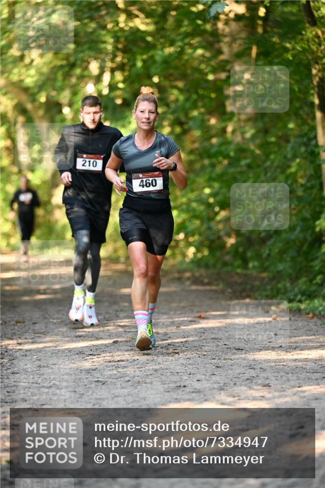 06.10.2024 - Bramfelder Halbmarathon 2024 Dr. Thomas Lammeyer http://msf.ph/oto/7334947 06.10.2024 09:53:19 Laufen 210, 460 meine-sportfotos.de