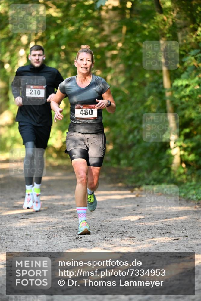 06.10.2024 - Bramfelder Halbmarathon 2024 Dr. Thomas Lammeyer http://msf.ph/oto/7334953 06.10.2024 09:53:20 Laufen 210, 460 meine-sportfotos.de
