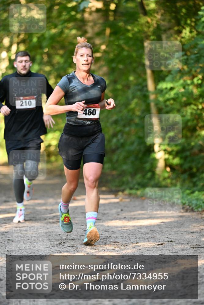 06.10.2024 - Bramfelder Halbmarathon 2024 Dr. Thomas Lammeyer http://msf.ph/oto/7334955 06.10.2024 09:53:20 Laufen 210, 460 meine-sportfotos.de