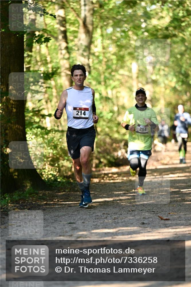 06.10.2024 - Bramfelder Halbmarathon 2024 Dr. Thomas Lammeyer http://msf.ph/oto/7336258 06.10.2024 10:11:48 Laufen 214, 250 meine-sportfotos.de