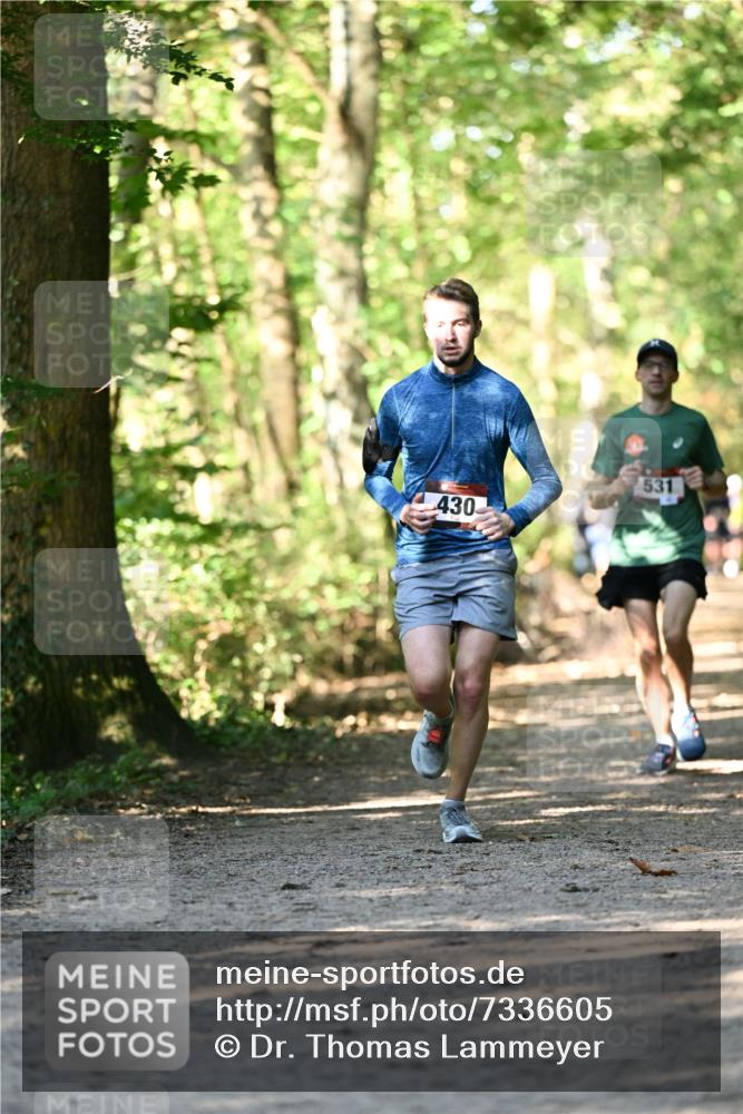 06.10.2024 - Bramfelder Halbmarathon 2024 Dr. Thomas Lammeyer http://msf.ph/oto/7336605 06.10.2024 10:15:55 Laufen 430, 531 meine-sportfotos.de