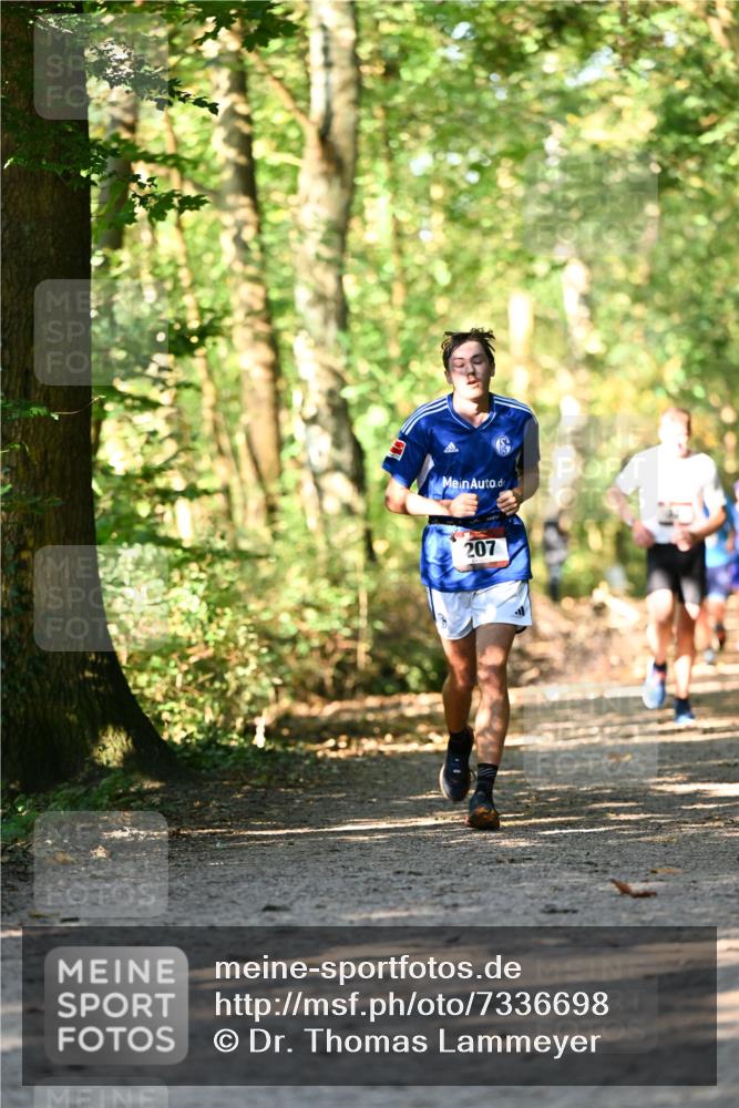 06.10.2024 - Bramfelder Halbmarathon 2024 Dr. Thomas Lammeyer http://msf.ph/oto/7336698 06.10.2024 10:16:32 Laufen 207 meine-sportfotos.de