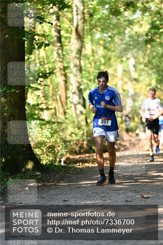 06.10.2024 - Bramfelder Halbmarathon 2024 Dr. Thomas Lammeyer http://msf.ph/oto/7336700 06.10.2024 10:16:33 Laufen 207 meine-sportfotos.de