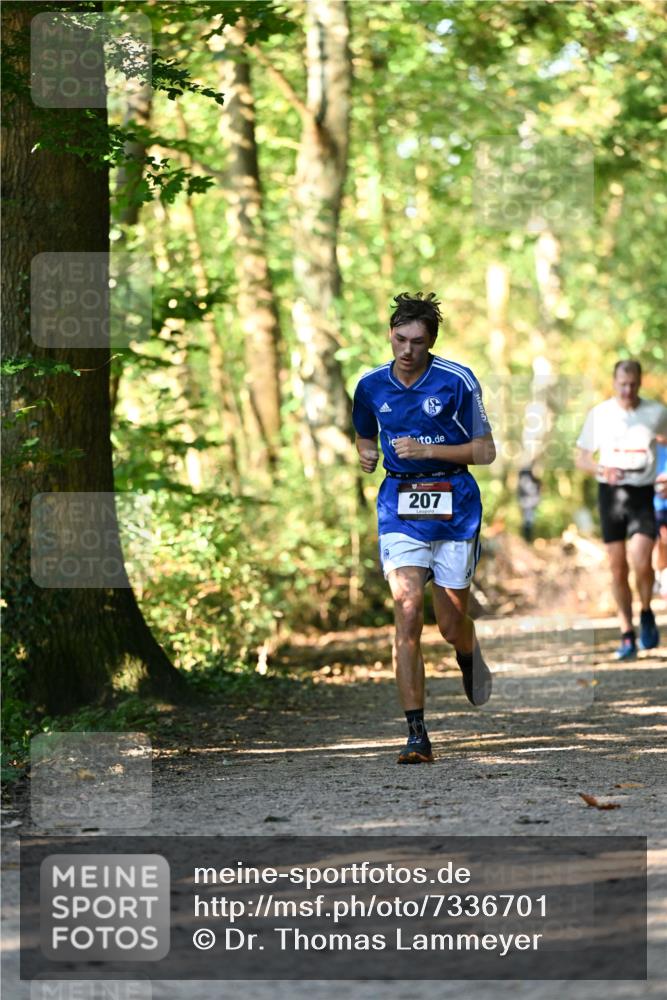 06.10.2024 - Bramfelder Halbmarathon 2024 Dr. Thomas Lammeyer http://msf.ph/oto/7336701 06.10.2024 10:16:33 Laufen 207 meine-sportfotos.de