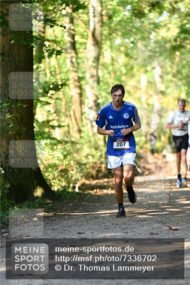 06.10.2024 - Bramfelder Halbmarathon 2024 Dr. Thomas Lammeyer http://msf.ph/oto/7336702 06.10.2024 10:16:33 Laufen 207 meine-sportfotos.de