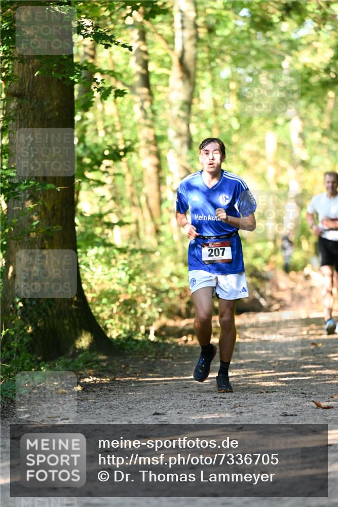 06.10.2024 - Bramfelder Halbmarathon 2024 Dr. Thomas Lammeyer http://msf.ph/oto/7336705 06.10.2024 10:16:33 Laufen 207 meine-sportfotos.de