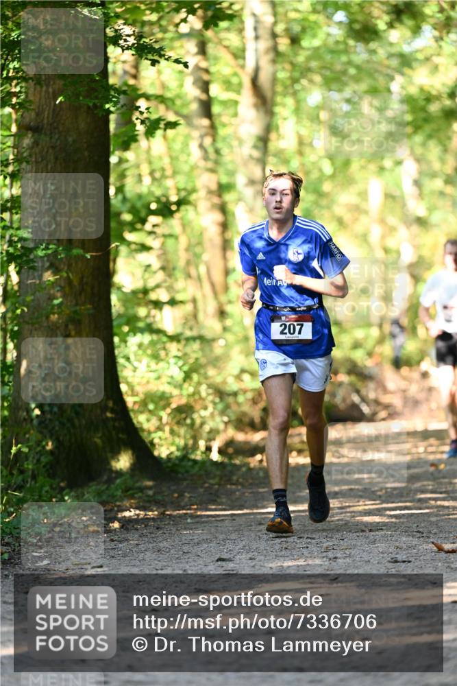 06.10.2024 - Bramfelder Halbmarathon 2024 Dr. Thomas Lammeyer http://msf.ph/oto/7336706 06.10.2024 10:16:34 Laufen 207 meine-sportfotos.de