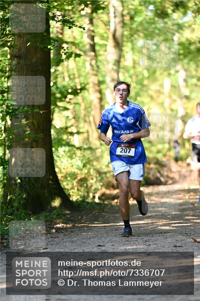 06.10.2024 - Bramfelder Halbmarathon 2024 Dr. Thomas Lammeyer http://msf.ph/oto/7336707 06.10.2024 10:16:34 Laufen 207 meine-sportfotos.de