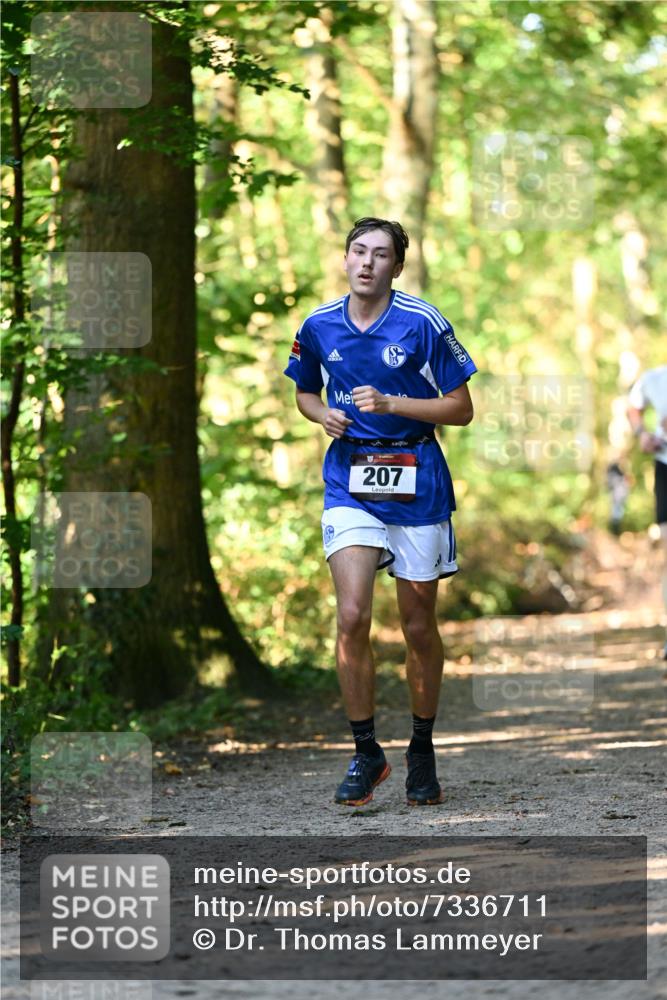 06.10.2024 - Bramfelder Halbmarathon 2024 Dr. Thomas Lammeyer http://msf.ph/oto/7336711 06.10.2024 10:16:34 Laufen 207 meine-sportfotos.de