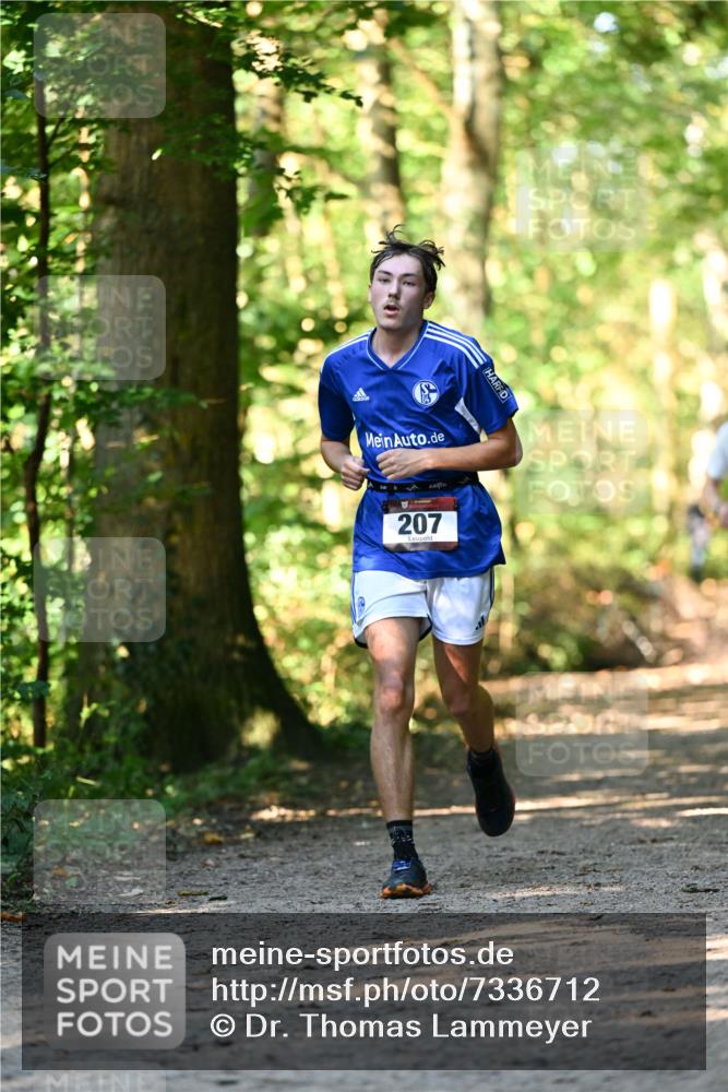 06.10.2024 - Bramfelder Halbmarathon 2024 Dr. Thomas Lammeyer http://msf.ph/oto/7336712 06.10.2024 10:16:34 Laufen 207 meine-sportfotos.de