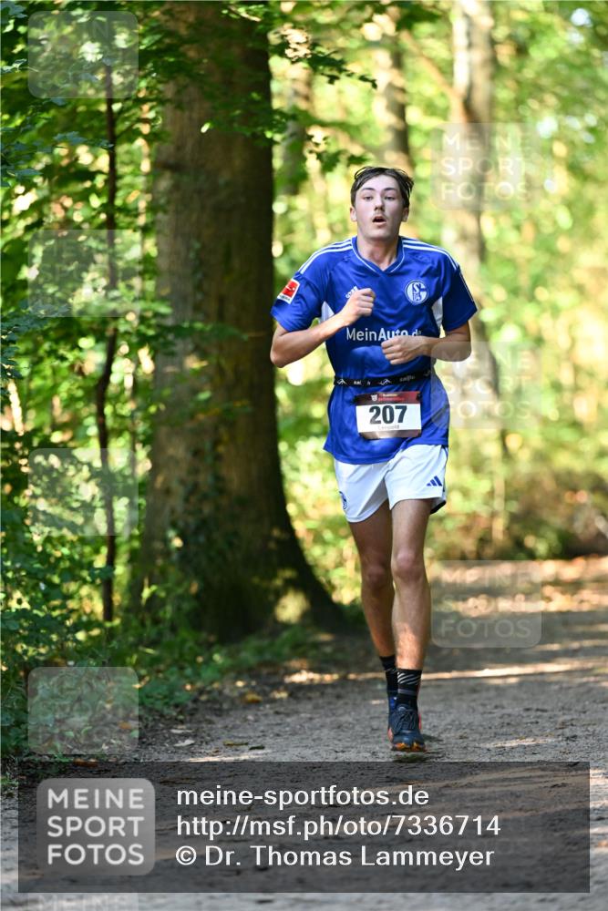 06.10.2024 - Bramfelder Halbmarathon 2024 Dr. Thomas Lammeyer http://msf.ph/oto/7336714 06.10.2024 10:16:35 Laufen 207 meine-sportfotos.de