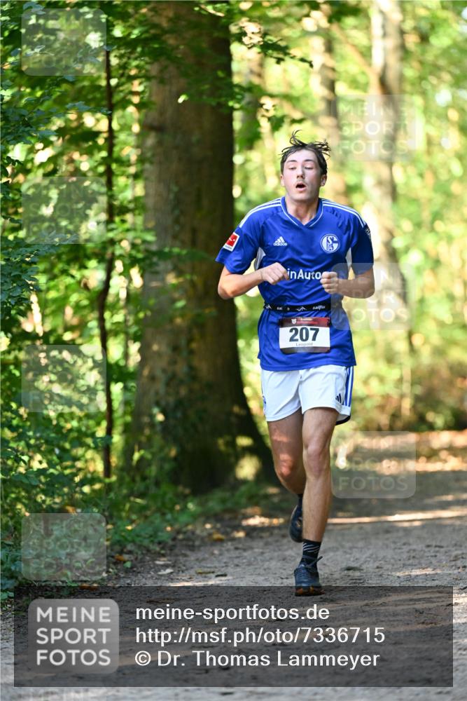 06.10.2024 - Bramfelder Halbmarathon 2024 Dr. Thomas Lammeyer http://msf.ph/oto/7336715 06.10.2024 10:16:35 Laufen 207 meine-sportfotos.de