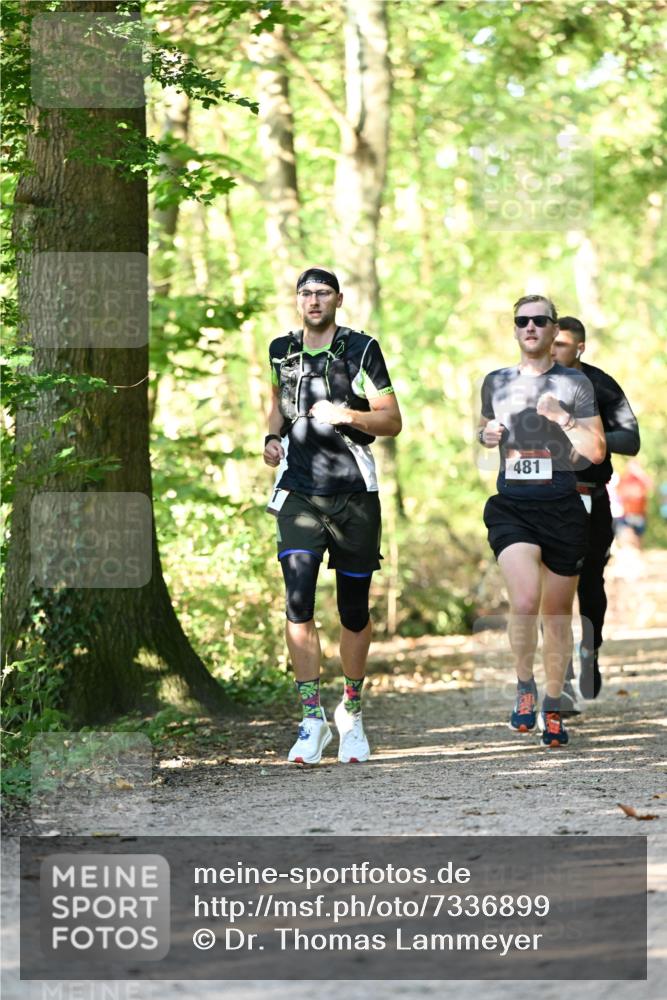 06.10.2024 - Bramfelder Halbmarathon 2024 Dr. Thomas Lammeyer http://msf.ph/oto/7336899 06.10.2024 10:17:45 Laufen 481 meine-sportfotos.de