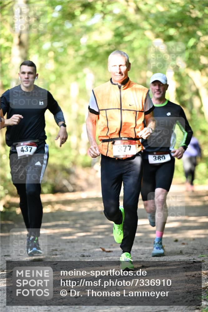 06.10.2024 - Bramfelder Halbmarathon 2024 Dr. Thomas Lammeyer http://msf.ph/oto/7336910 06.10.2024 10:17:48 Laufen 437, 377, 389 meine-sportfotos.de