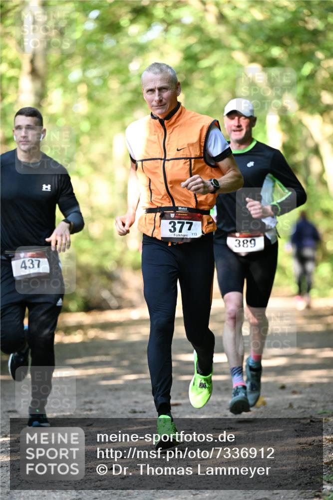 06.10.2024 - Bramfelder Halbmarathon 2024 Dr. Thomas Lammeyer http://msf.ph/oto/7336912 06.10.2024 10:17:48 Laufen 437, 377, 113, 389 meine-sportfotos.de