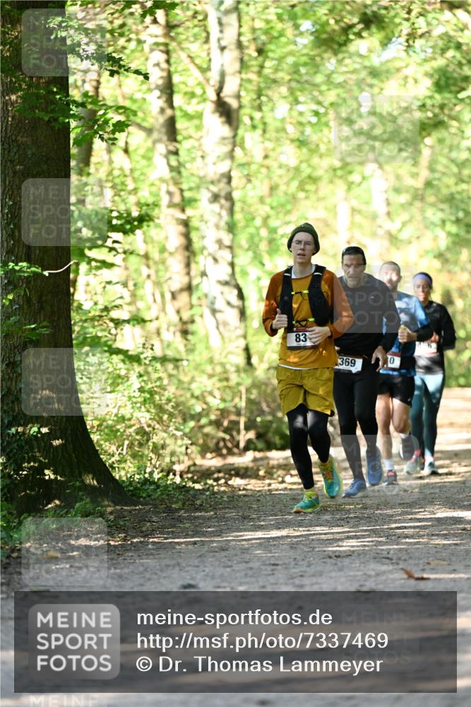 06.10.2024 - Bramfelder Halbmarathon 2024 Dr. Thomas Lammeyer http://msf.ph/oto/7337469 06.10.2024 10:21:31 Laufen 83, 369 meine-sportfotos.de