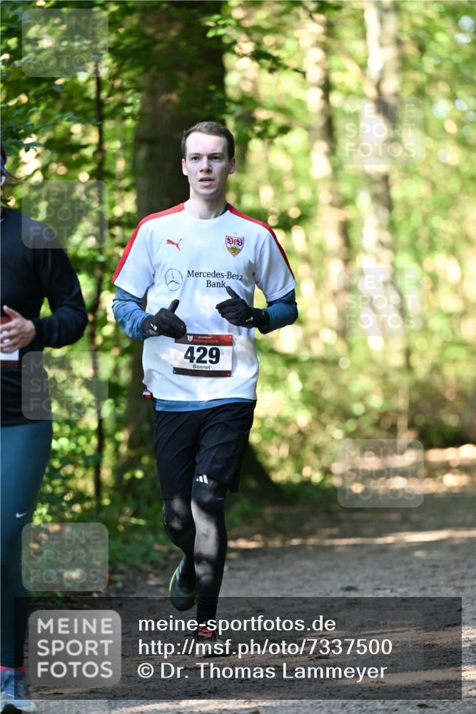 06.10.2024 - Bramfelder Halbmarathon 2024 Dr. Thomas Lammeyer http://msf.ph/oto/7337500 06.10.2024 10:21:39 Laufen 429 meine-sportfotos.de