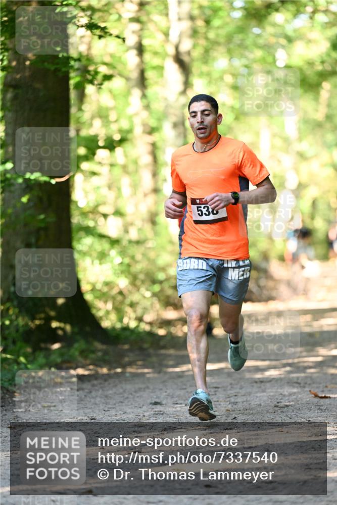 06.10.2024 - Bramfelder Halbmarathon 2024 Dr. Thomas Lammeyer http://msf.ph/oto/7337540 06.10.2024 10:22:01 Laufen 536 meine-sportfotos.de
