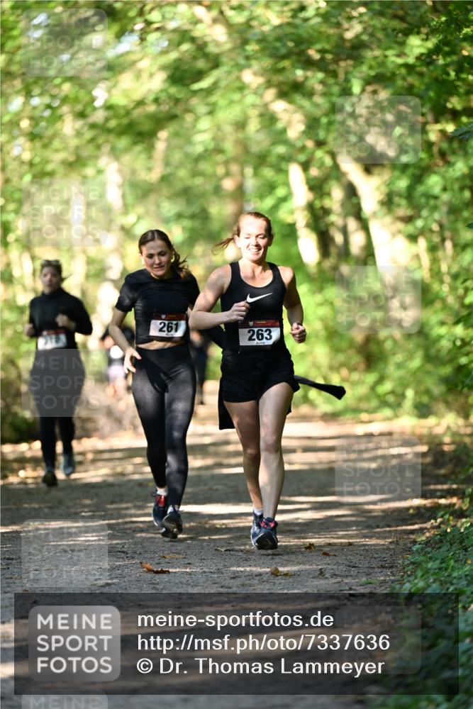 06.10.2024 - Bramfelder Halbmarathon 2024 Dr. Thomas Lammeyer http://msf.ph/oto/7337636 06.10.2024 10:22:25 Laufen 261, 263 meine-sportfotos.de