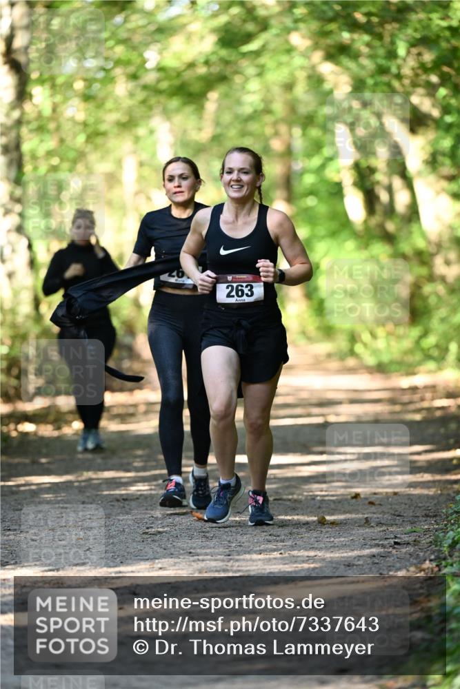 06.10.2024 - Bramfelder Halbmarathon 2024 Dr. Thomas Lammeyer http://msf.ph/oto/7337643 06.10.2024 10:22:25 Laufen 263 meine-sportfotos.de
