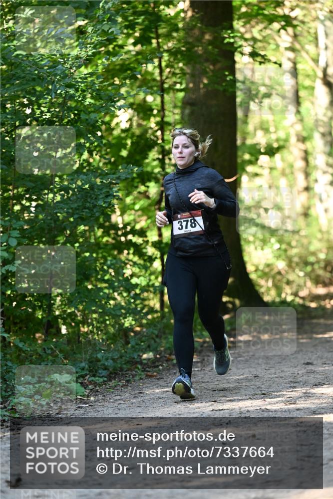 06.10.2024 - Bramfelder Halbmarathon 2024 Dr. Thomas Lammeyer http://msf.ph/oto/7337664 06.10.2024 10:22:29 Laufen 378 meine-sportfotos.de