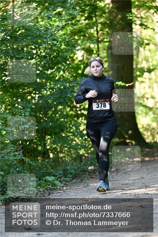 06.10.2024 - Bramfelder Halbmarathon 2024 Dr. Thomas Lammeyer http://msf.ph/oto/7337666 06.10.2024 10:22:30 Laufen 378 meine-sportfotos.de
