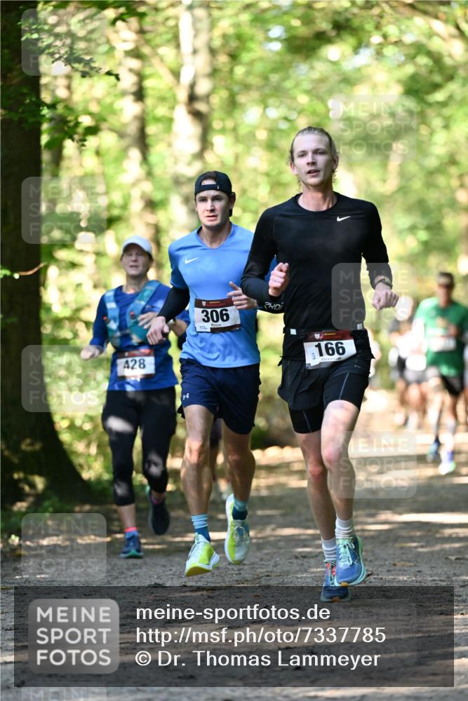 06.10.2024 - Bramfelder Halbmarathon 2024 Dr. Thomas Lammeyer http://msf.ph/oto/7337785 06.10.2024 10:23:15 Laufen 428, 306, 172, 166 meine-sportfotos.de
