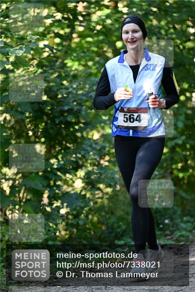 06.10.2024 - Bramfelder Halbmarathon 2024 Dr. Thomas Lammeyer http://msf.ph/oto/7338021 06.10.2024 10:24:39 Laufen 564 meine-sportfotos.de