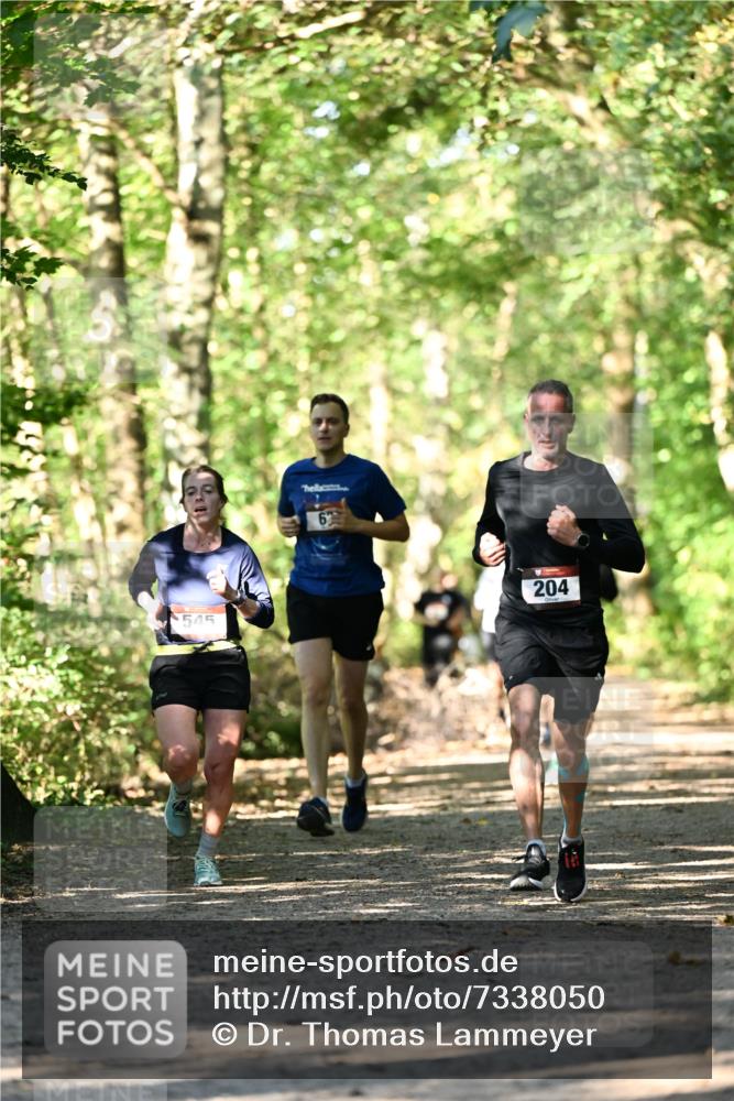 06.10.2024 - Bramfelder Halbmarathon 2024 Dr. Thomas Lammeyer http://msf.ph/oto/7338050 06.10.2024 10:24:47 Laufen 545, 6, 204 meine-sportfotos.de