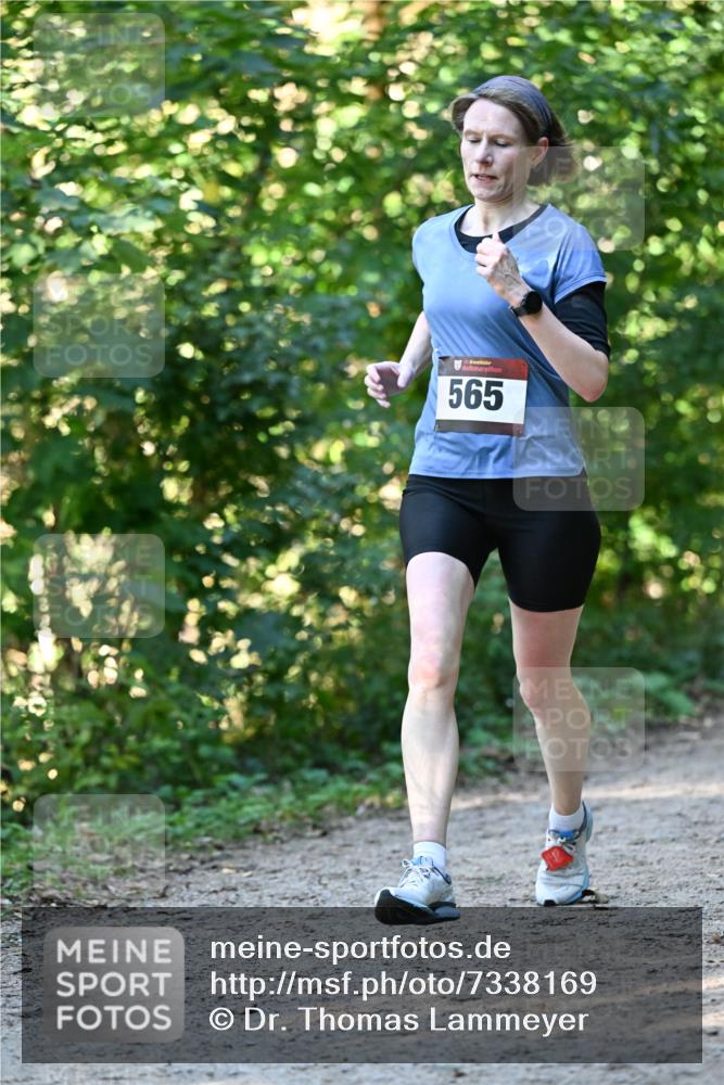 06.10.2024 - Bramfelder Halbmarathon 2024 Dr. Thomas Lammeyer http://msf.ph/oto/7338169 06.10.2024 10:25:22 Laufen 565 meine-sportfotos.de