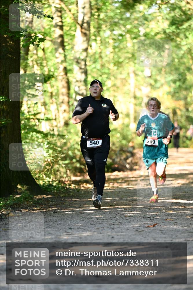 06.10.2024 - Bramfelder Halbmarathon 2024 Dr. Thomas Lammeyer http://msf.ph/oto/7338311 06.10.2024 10:26:24 Laufen 540, 269 meine-sportfotos.de