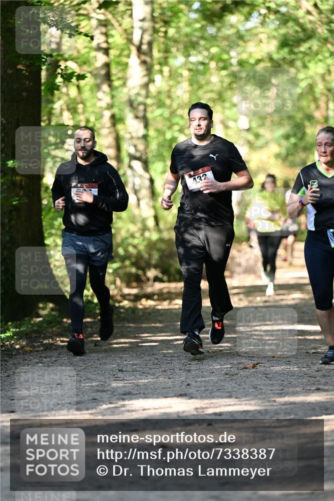 06.10.2024 - Bramfelder Halbmarathon 2024 Dr. Thomas Lammeyer http://msf.ph/oto/7338387 06.10.2024 10:26:45 Laufen 132 meine-sportfotos.de