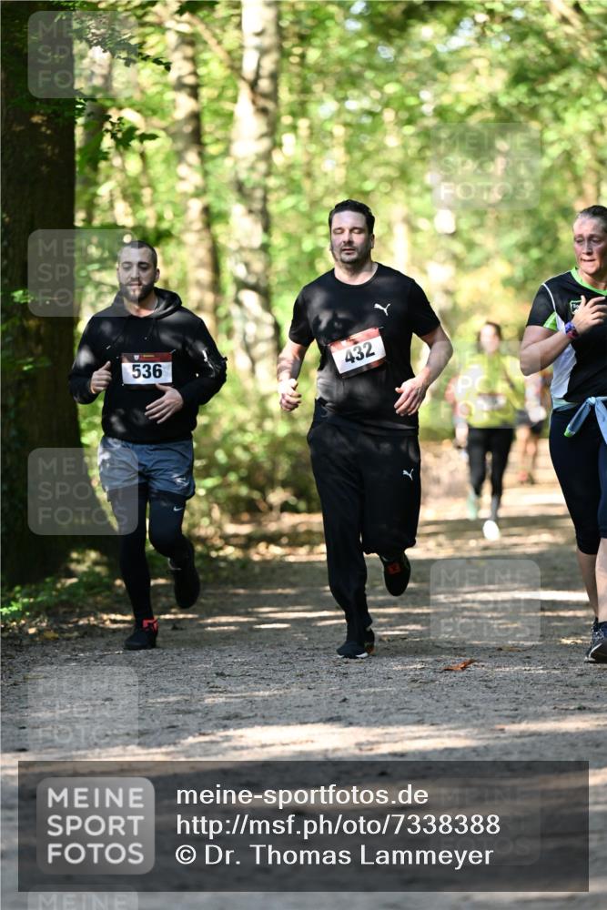 06.10.2024 - Bramfelder Halbmarathon 2024 Dr. Thomas Lammeyer http://msf.ph/oto/7338388 06.10.2024 10:26:46 Laufen 536, 432 meine-sportfotos.de