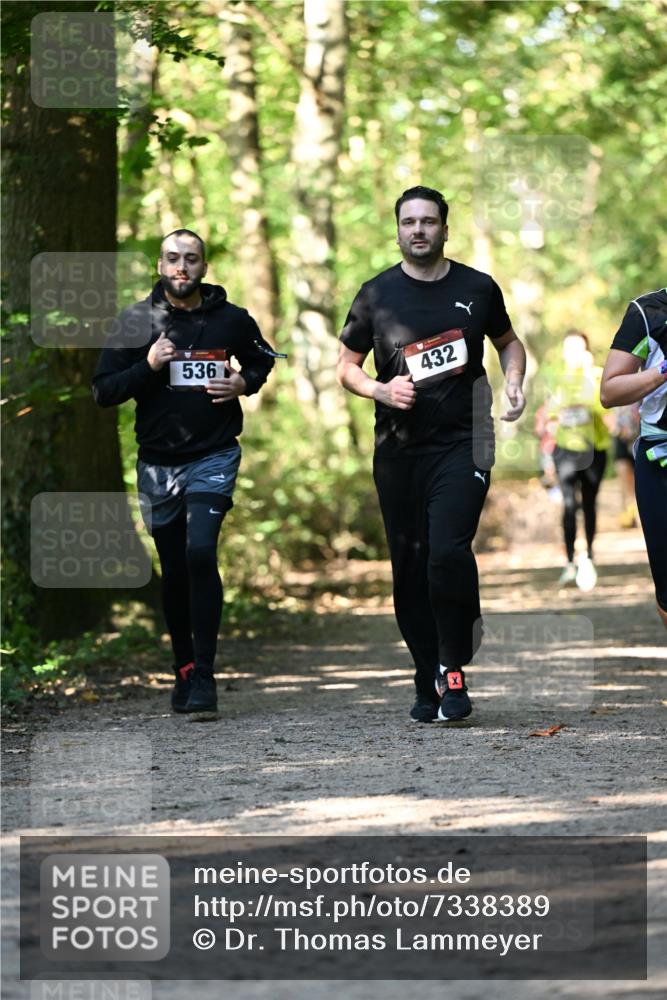 06.10.2024 - Bramfelder Halbmarathon 2024 Dr. Thomas Lammeyer http://msf.ph/oto/7338389 06.10.2024 10:26:46 Laufen 536, 432 meine-sportfotos.de