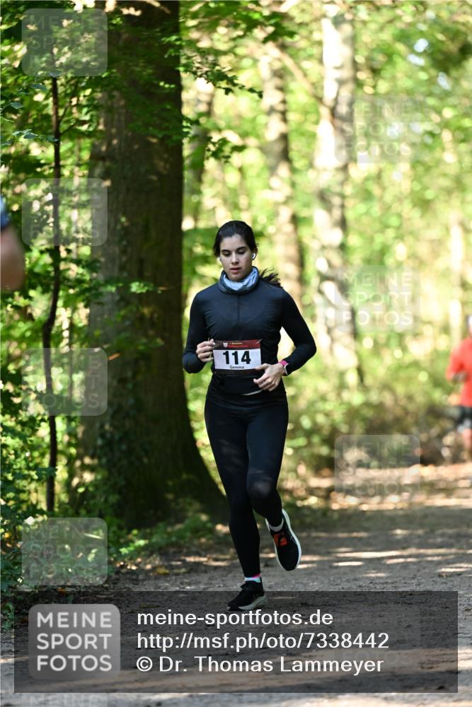 06.10.2024 - Bramfelder Halbmarathon 2024 Dr. Thomas Lammeyer http://msf.ph/oto/7338442 06.10.2024 10:27:01 Laufen 114 meine-sportfotos.de