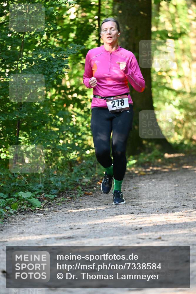 06.10.2024 - Bramfelder Halbmarathon 2024 Dr. Thomas Lammeyer http://msf.ph/oto/7338584 06.10.2024 10:27:48 Laufen 278 meine-sportfotos.de