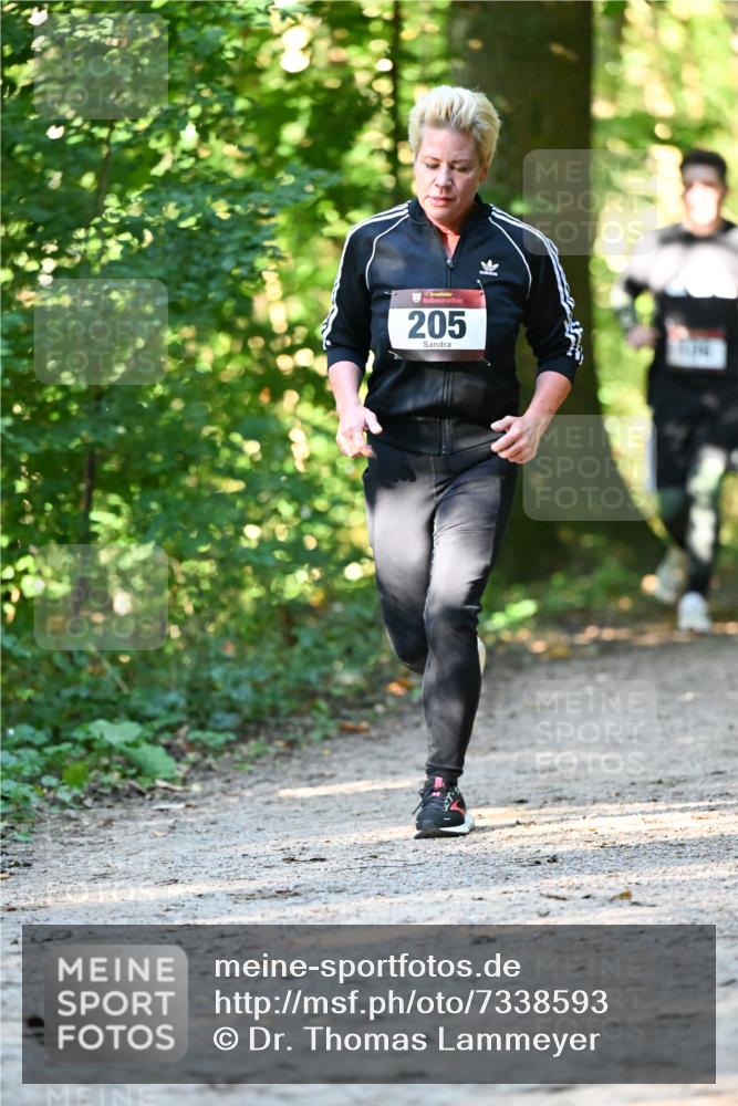 06.10.2024 - Bramfelder Halbmarathon 2024 Dr. Thomas Lammeyer http://msf.ph/oto/7338593 06.10.2024 10:27:53 Laufen 205 meine-sportfotos.de