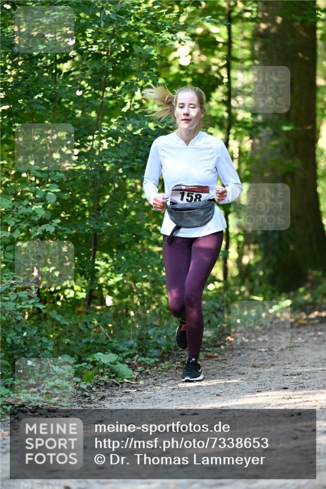 06.10.2024 - Bramfelder Halbmarathon 2024 Dr. Thomas Lammeyer http://msf.ph/oto/7338653 06.10.2024 10:28:14 Laufen 158 meine-sportfotos.de