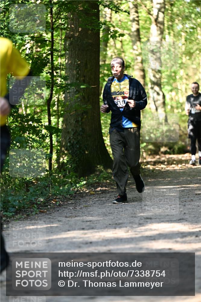 06.10.2024 - Bramfelder Halbmarathon 2024 Dr. Thomas Lammeyer http://msf.ph/oto/7338754 06.10.2024 10:28:36 Laufen 310 meine-sportfotos.de