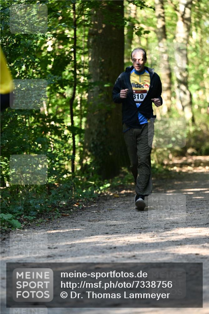 06.10.2024 - Bramfelder Halbmarathon 2024 Dr. Thomas Lammeyer http://msf.ph/oto/7338756 06.10.2024 10:28:37 Laufen 310 meine-sportfotos.de