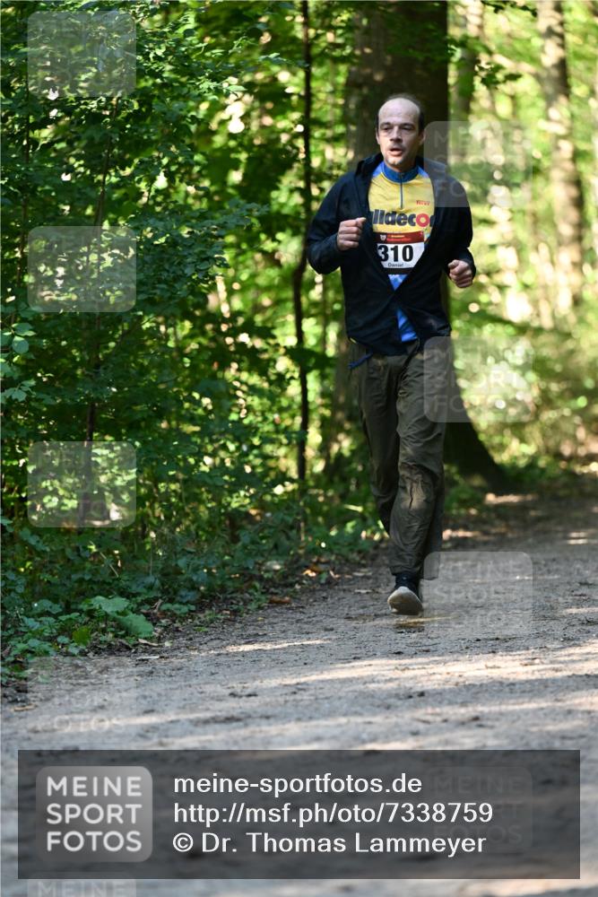 06.10.2024 - Bramfelder Halbmarathon 2024 Dr. Thomas Lammeyer http://msf.ph/oto/7338759 06.10.2024 10:28:37 Laufen 310 meine-sportfotos.de