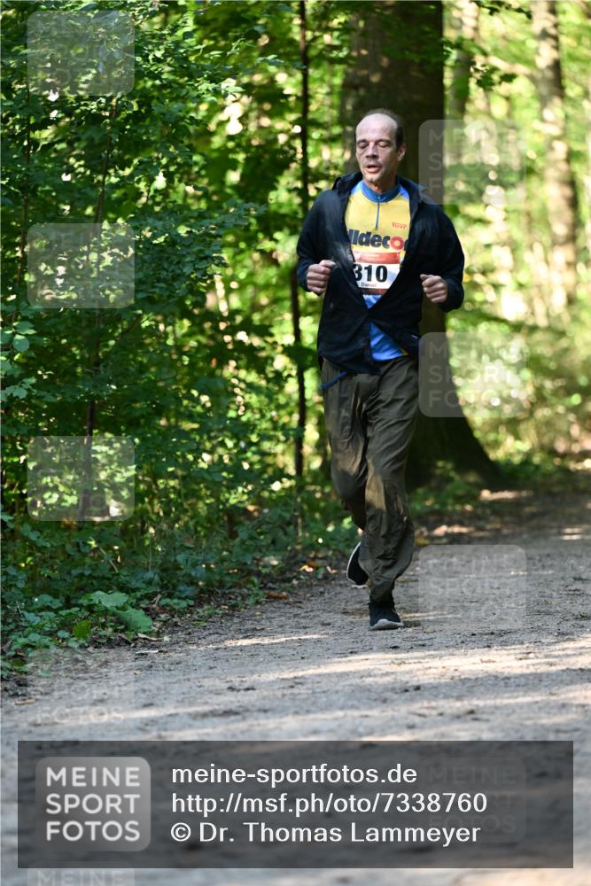 06.10.2024 - Bramfelder Halbmarathon 2024 Dr. Thomas Lammeyer http://msf.ph/oto/7338760 06.10.2024 10:28:37 Laufen 310 meine-sportfotos.de